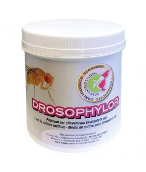 drosophylor